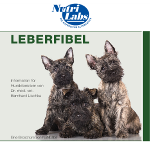 PDF: NutriLabs Fibel Leber