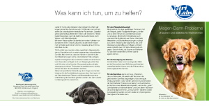 PDF: NutriLabs Fibel Magen und Darm