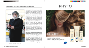 PDF: Phytojoba Broschüre