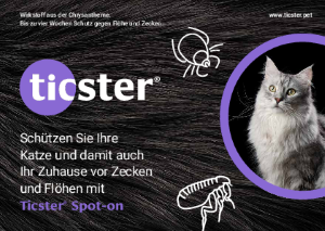 PDF: Schutz gegen Flöhe und Zecken für Ihre Katze