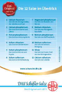 PDF: Die 12 DHU Schüßler-Salze