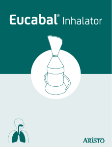 PDF: Inhalator Anleitung